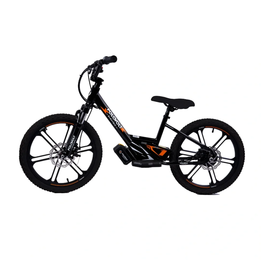 Rower elektryczny Polovolt M-20